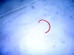 Провод автомобильный сеч.1,5 мм2