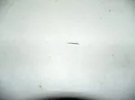 Шплинт 1,5х20 1/07951/019