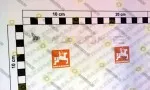 Schraube 3,5X9,5 сеялки Amazone Citan