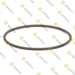 Уплотнительное кольцо Case CNH 70935011