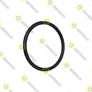 4100180 УПЛОТНИТЕЛЬНОЕ  КОЛЬЦО John Deere