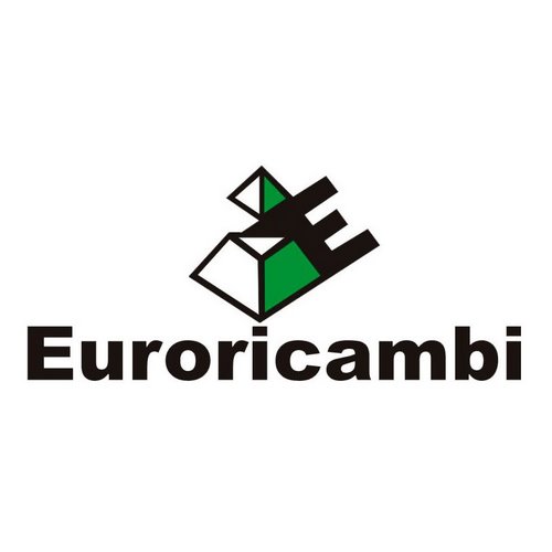 Логотип Euroricambi