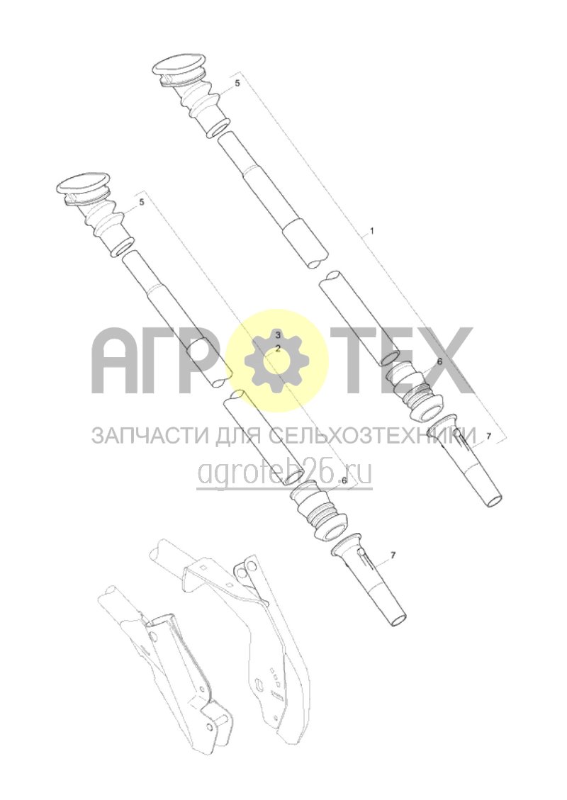  Семяпровод (WS / RoTeC) (ETB-018743)  (№5 на схеме)