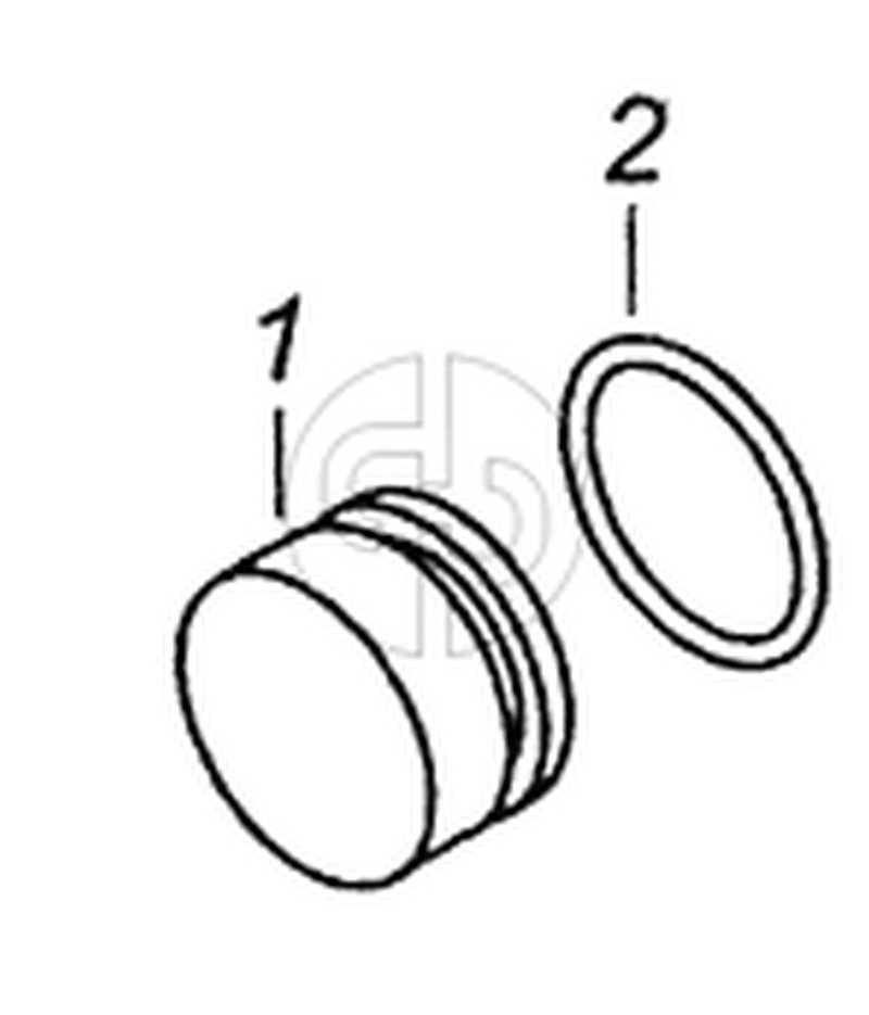740.1003434 Заглушка с кольцом (№1 на схеме)