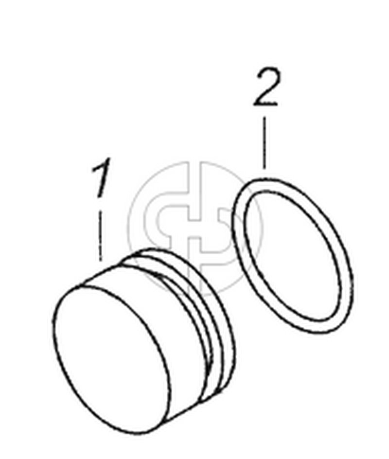 740.1003434 Заглушка с кольцом (№1 на схеме)