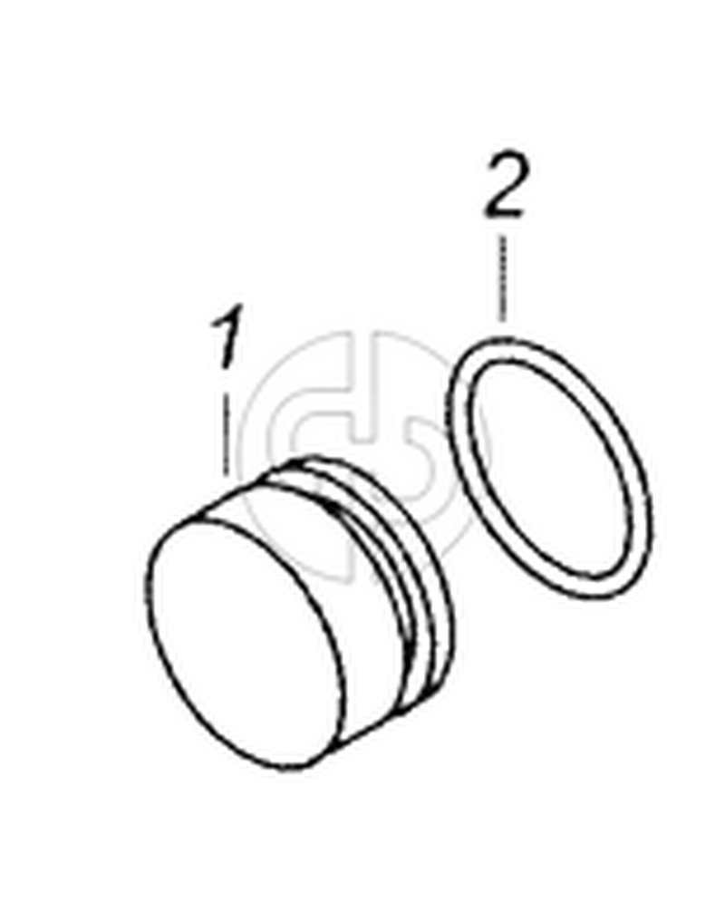 740.1003434 Заглушка с кольцом (№1 на схеме)