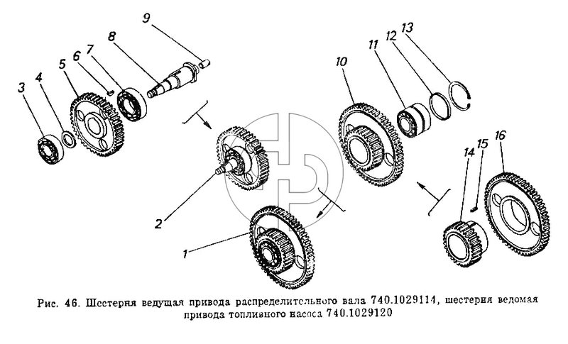 Шестерня ведущая привода распределительного вала, шестерня ведомая привода топливного насоса (№15 на схеме)