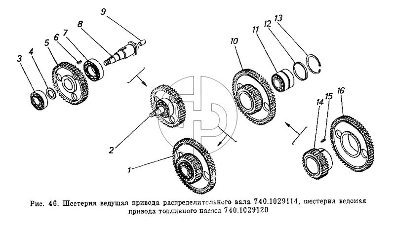 Шестерня ведущая привода распределительного вала, шестерня ведомая привода топливного насоса (№15 на схеме)