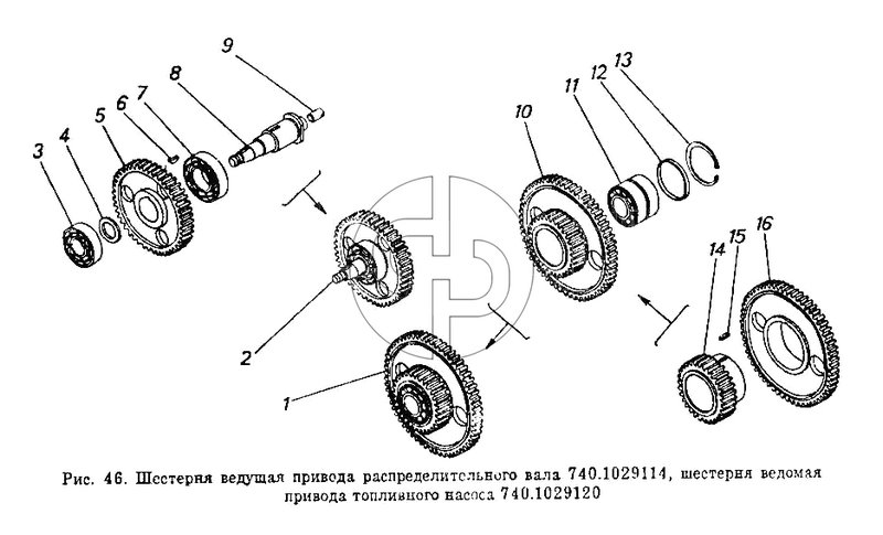 Шестерня ведущая привода распределительного вала, шестерня ведомая привода топливного насоса (№15 на схеме)