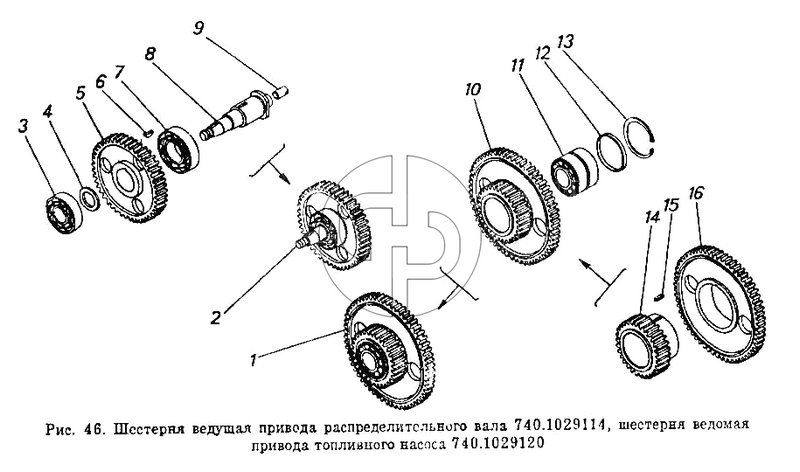 Шестерня ведущая привода распределительного вала, шестерня ведомая привода топливного насоса (№15 на схеме)