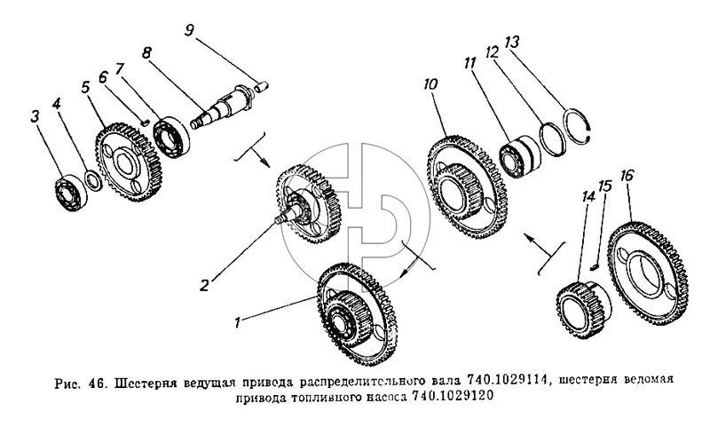 Шестерня ведущая привода распределительного вала, шестерня ведомая привода топливного насоса (№15 на схеме)