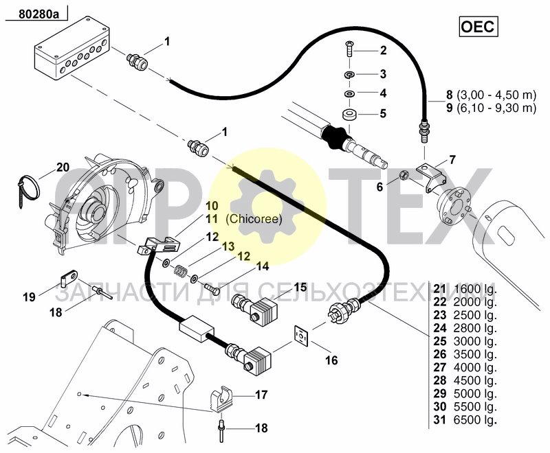 OEC (№10 на схеме)