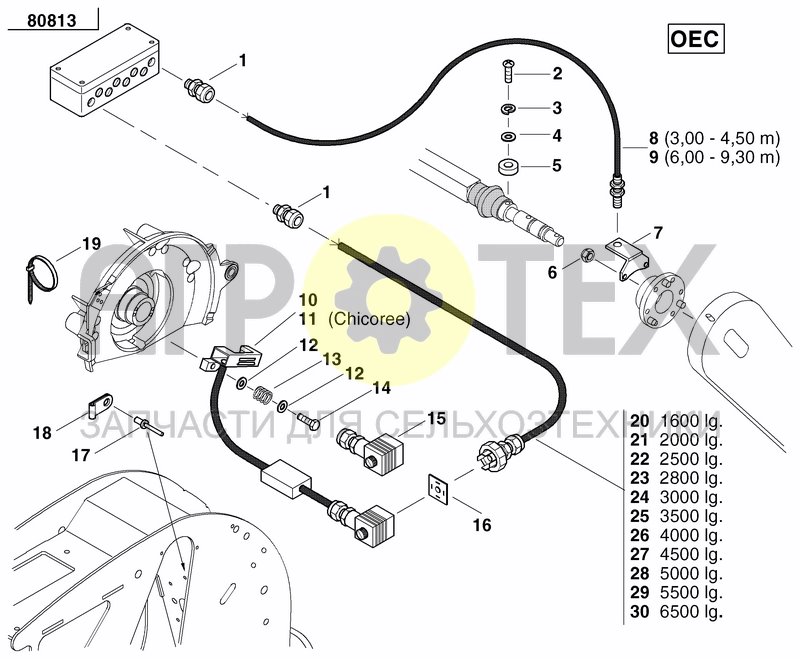 OEC (№10 на схеме)