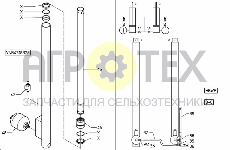 Чертеж FRAME PHOENIX B/C-HBWP